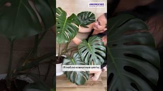 АМИНОСИЛ витамины для растений Артикул на WB 57772687 #аминосил #огород #дача #цветы #plants #garden