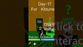 Day-17 For Kitsune ️️ #roblox #roblox #bloxfruits #trisdxng #kitsunefruit #animeedit #bloxfruts