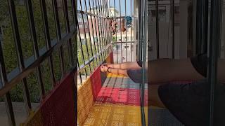 Balcony drying net online available 