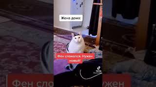 Когда Пришла ЗП l Девушка тут как тут