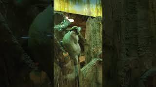 EMAAR AQUARIUM ISTANBUL  #istanbul #emaar #aquarium #travel
