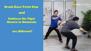 What is the difference between Brush Knee Twist Step and Embrace the Tiger Return to Mountain?