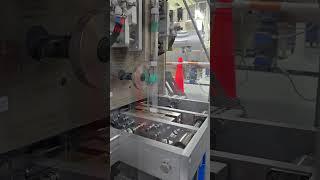 LENIS LMSTS-450L Liquid Sachet Packing Machine #sachetpackingmachine #stickpackagingmachine