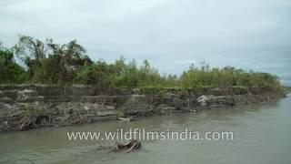 Crossing Brahmaputra river towards Dibru Saikhowa, from Dibrugarh