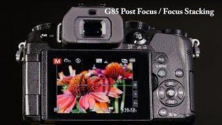 Panasonic LUMIX DMC-G85 Post Focus Stacking