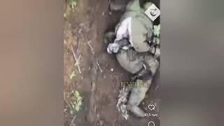 Русский воин непобедим. Боец со стальными нервами отбрасывает прилетающие к нему гранаты ВСУ.