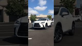 All-New 2022 Lexus NX 250 AWD! #shorts