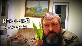 ИВАН-ЧАЙ!!! БЫСТРО,ПРОСТО,ВКУСНО/