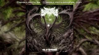 Slam Instrumental EP - VEIL OF OBFUSCATION - Slamming Brutal Death Metal Instrumental