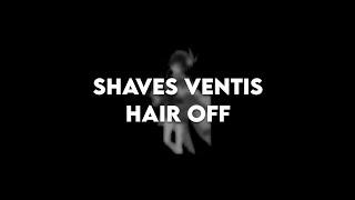 shaves ventis hair off