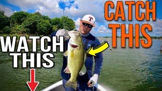 Locating Bass In THE HEAT OF SUMMER (Up Shallow)