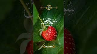 Al Quran ️#quran #lifewithquran #islamicstatus #subscribetomychannel