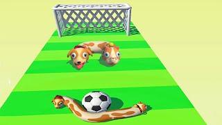 Cats & Dogs 3D - All Levels 1-20 Gameplay Android, iOS