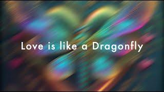 Tom Bender - "Dragonfly" (Official Lyric Video) feat. Justine Blazer