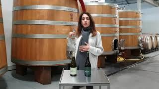 Pretexto wines with Mariana Salvador   Winemaker