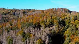 Harz okt 2021 korte impressie Elfenstein