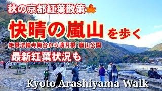 11/21(木)秋の京都嵐山散策 最新紅葉状況も 色付く法輪寺〜渡月橋 嵐山公園周辺を歩く【4K】Kyoto Arashiyama Walk