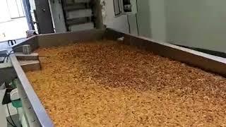 Automatic Raisin Gravity Separator machine