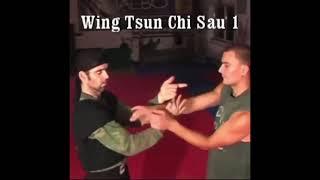Wing Chun Kungfu (Wing Tsun) Chi Sao | Sticky Hands | via Mario Altaner
