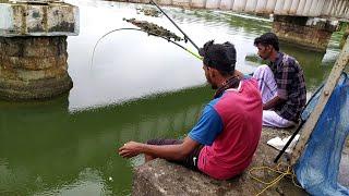 കണമ്പ് പിടിക്കാൻ100%റിസൾട്ട്‌Village Fishing|Fishing Idea|Traditional Fishing|NatchuralFishing|fish