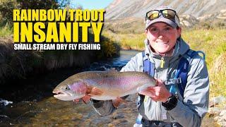 Rainbow Trout Insanity - Small Stream Dry Fly Fishing EPIC
