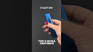 Подборка любимых ножей на кармане от DAGGERR #ножи #нож #складнойнож #edc #топ #edccarry