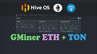 Gminer Dual Mining Settings  Eth + Ton Hiveos 2022