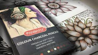 These charcoal pencils are tinted! (Pandafly coloured charcoal)