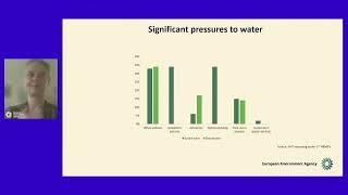 3. European perspective - Trine Christiansen, European Environment Agency
