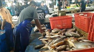 jual ikan hasil pancing teman" #pancingkulup