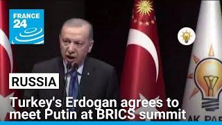 Turkey's Erdogan agrees to meet Russia's Putin at BRICS summit • FRANCE 24 English