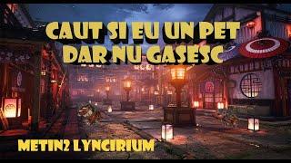 METIN2 RO LYNCIRIUM - CASE OPENING: CUTII CU PUI