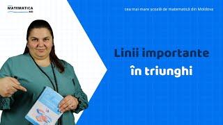 Linii importante în triunghi | Matematica.md