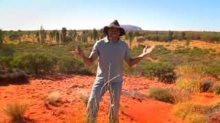 Indigenous Television Presenter Johnny Murison demonstrating 'How to Throw a Boomerang'