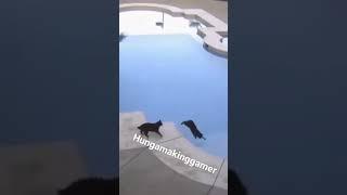 #opanimal weeeee 