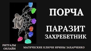 Захребетная ПОРЧА. Сущность паразит ЗАХРЕБЕТНИК. Ритуал онлайн.