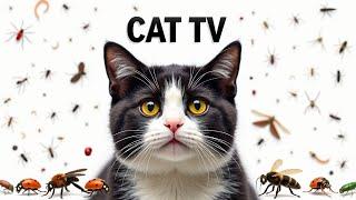 CAT GAMES | Collection of fun Cat Games to entertain your pets Episode 01 | 3 HOURS | 