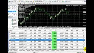 Best forex EA robot no loss Download