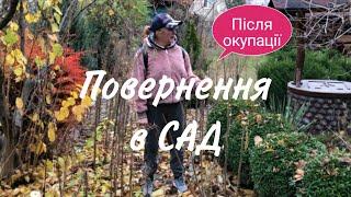 Повернення в САД. Після оккупації. ЖАХ.Вони скрізь. В кожному квітнику. Треба знищити .