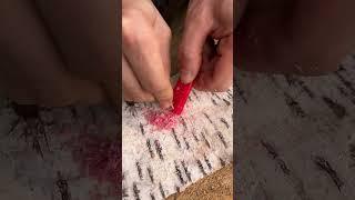 Lighter without GAS#survival #bushcraft #outdoors #camping #fire