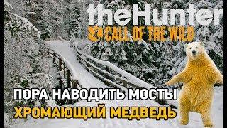 theHunter Call of the Wild # Хромающий медведь,пора наводить мосты (Medved-Taiga )