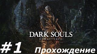 DARK SOULS: REMASTERED Прохождение #1