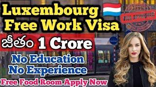 LUXEMBOURG  FREE WORK VISA TELUGU | JOBS IN LUXEMBOURG | LUXEMBOURG JOBS FOR INDIAN TELUGU | APPLY