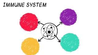 Immune System Support