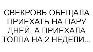 Свекровь обещала приехать на пару дней, а приехала толпа на 2 недели...