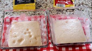 HOW TO TEST IF YEAST IS ALIVE || INSTANT YEAST VS ACTIVE DRY YEAST