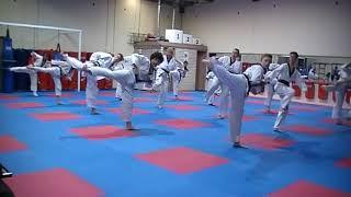 Burridge Martial Arts Academy Black Belt Exam