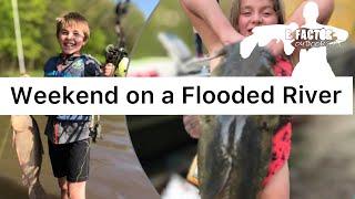 Flooded River BIG catfish! + Buffalo Carp Bowfishing