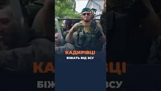 ️️️КАДИРІВЦІ підставили ДІДА