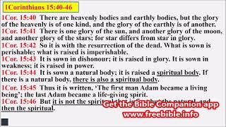The resurrection of Christ and our resurrection at His coming, Phil Martin sermon breaking of bread